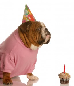 dogs as child substitutes