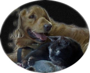 Animal hospice and natural dying