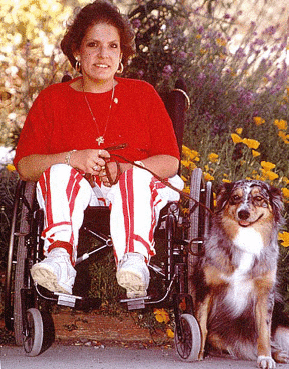 Working with service dog owner-trainers