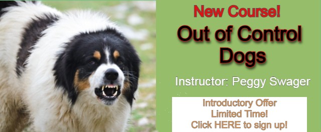 Banner OutOfControlDogs